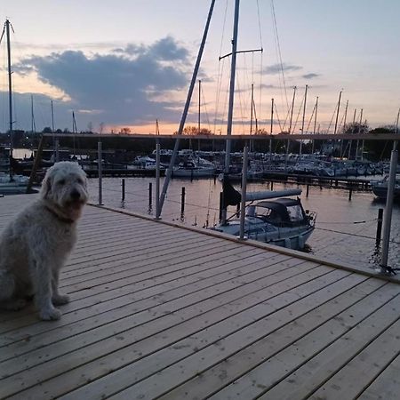 Hausboot Gluecksmomente Mit Dachterrasse In Schleswig Am Ostseefjord Schlei エクステリア 写真