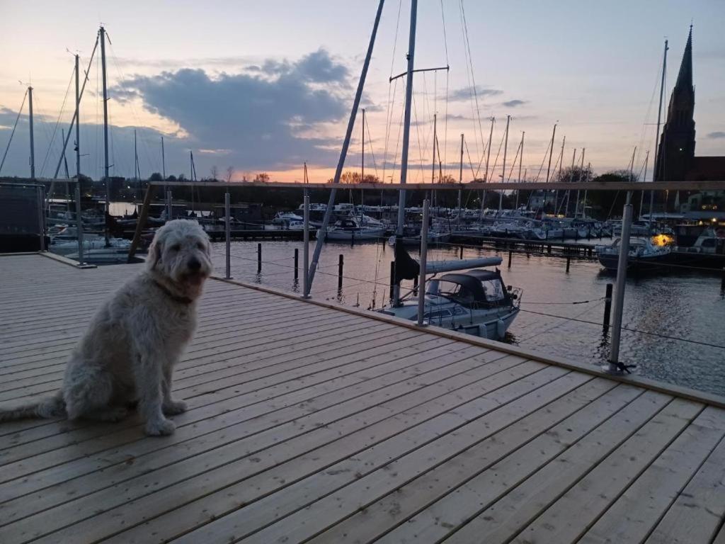Hausboot Gluecksmomente Mit Dachterrasse In Schleswig Am Ostseefjord Schlei エクステリア 写真